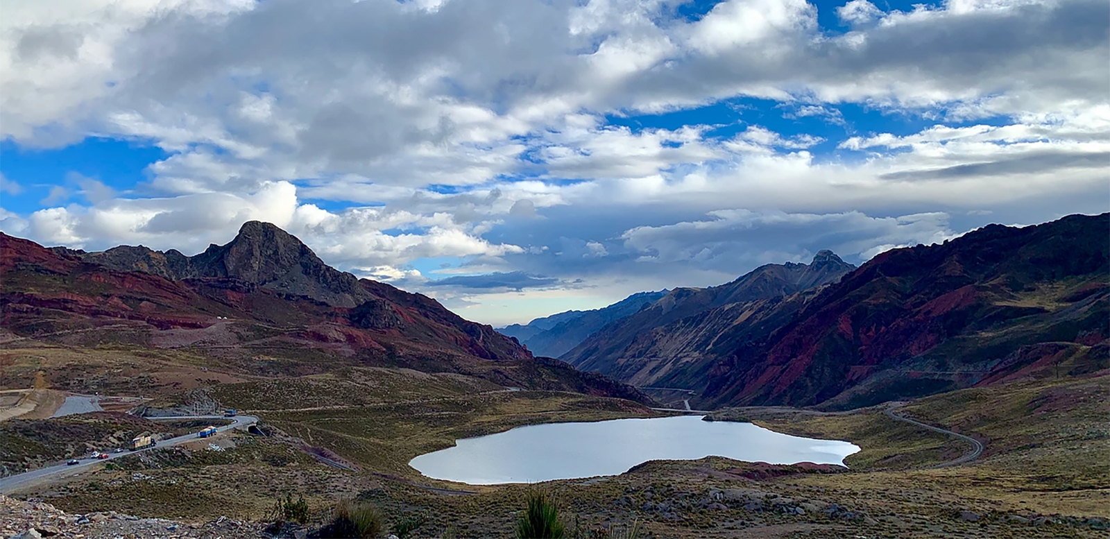 Изображение наших плантаций
